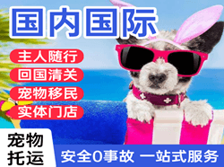 博乐阿拉山口空运国际宠物托运 【国